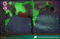 Horse Color:ERROR: UNKNOWN ANOMALY and Brown