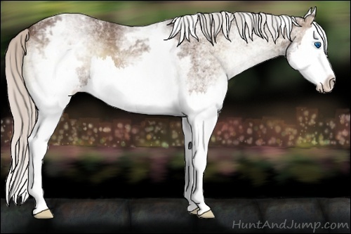 Horse Color:White Spotted Silver Blue Onyx Splash 