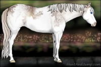 Horse Color:White Spotted Silver Blue Onyx Splash