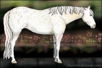 Horse Color:Silver Classic Cream Champagne Onyx Splash Near Leopard 