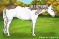 Horse Color:Silver Bay Ice Onyx Splash Frame