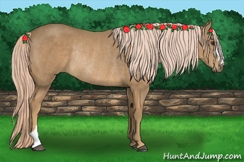 Horse Color:Palomino Rabicano