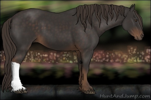 Horse Color:Liver Chestnut 