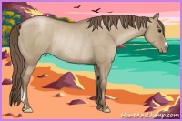 Horse Color:Grullo Pearl Rabicano 