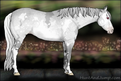 Horse Color:Silver Sable Champagne Chinchilla Ice Splash Frame 