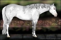Horse Color:Silver Sable Champagne Chinchilla Ice Splash Frame