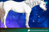 Horse Color:Brown Ice Splash Blanket Rabicano and Brown Ice Splash Tobiano Blanket