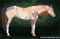 Horse Color:Brown Ice and Buckskin Ice Pearl
