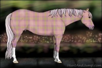 Horse Color:Watercolor Plaid  Silver Grullo 