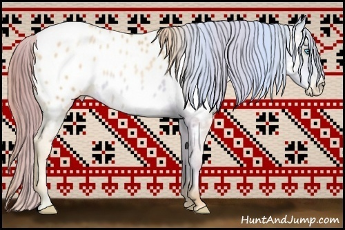 Horse Color:Sable Champagne Pearl Appaloosa 