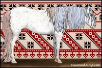 Horse Color:Sable Champagne Pearl Appaloosa 