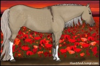 Horse Color:Silver Grullo 