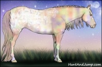 Horse Color:Nacre Gold Cream Champagne Ice Onyx 