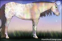 Horse Color:Nacre Sable Cream Champagne Ice Onyx 