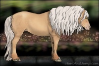 Horse Color:Silver Sable Champagne 