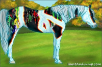 Horse Color:Gray Thunderstruck Grullo Ice Splash 