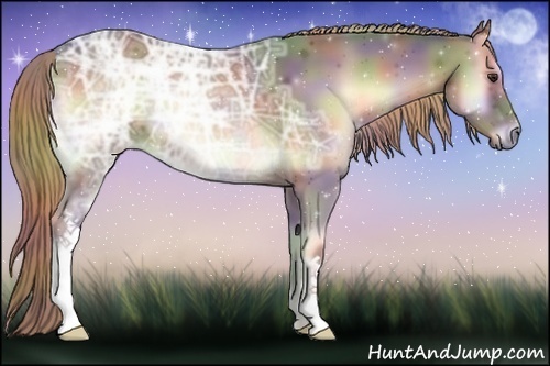 Horse Color:Nacre Liver Red Onyx Ice