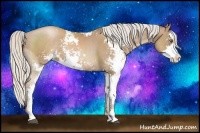 Horse Color:Silver Black Pearl Sabino Rabicano 