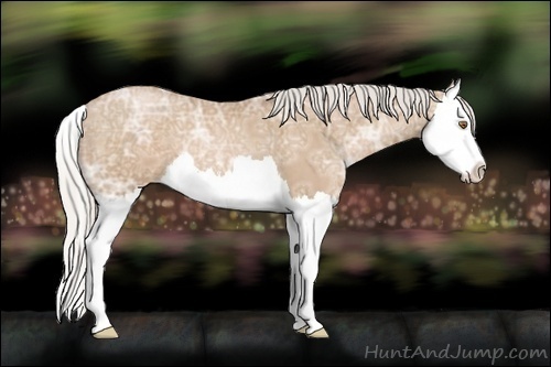 Horse Color:Silver Black Ice Pearl Sabino Splash 