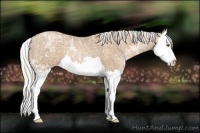 Horse Color:Silver Black Ice Pearl Sabino Splash