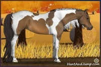 Horse Color:Buckskin Sabino Tobiano