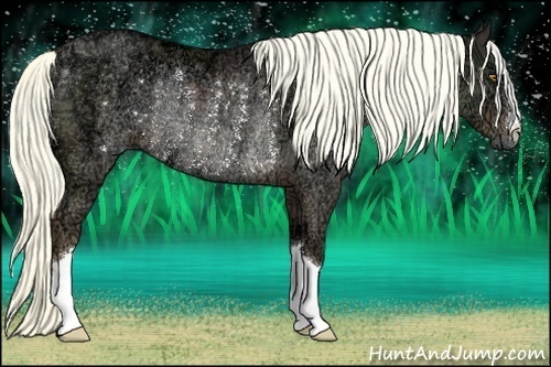 Horse Color:Liver Chestnut Ice Rabicano 
