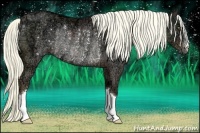 Horse Color:Liver Chestnut Ice Rabicano