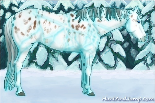 Horse Color:Thunderstruck White Spotted Brown Ice Sabino Splash Near Leopard Rabicano