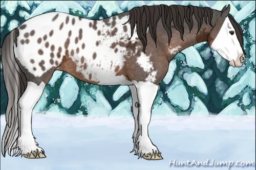 Horse Color:Liver Chestnut Ice Splash Blanket
