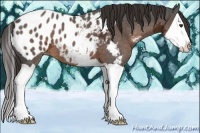 Horse Color:Liver Chestnut Ice Splash Blanket 