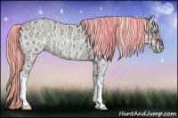 Horse Color:Painted Perlino Ice Onyx