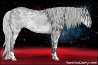 Horse Color:Silver Black Chinchilla Ice Rabicano 