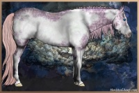 Horse Color:Watercolor Silver Black Ice Sabino Frame