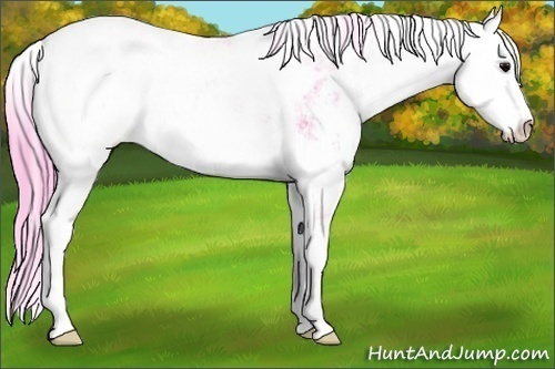 Horse Color:Watercolor Brown Ice Sabino