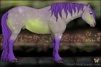Horse Color:Watercolor Bay 