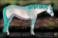 Horse Color:Watercolor Bay Onyx 