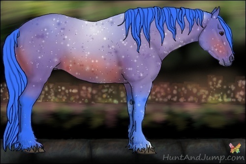 Horse Color:Watercolor Bay 