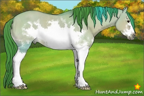 Horse Color:Watercolor White Spotted Bay Dun Frame 