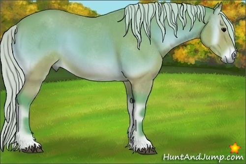 Horse Color:Watercolor Silver Bay Onyx 