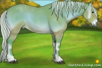 Horse Color:Watercolor Silver Bay Onyx