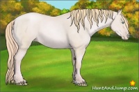 Horse Color:Watercolor Gold Champagne Pearl Dun 
