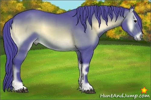 Horse Color:Watercolor Brown Onyx