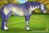 Horse Color:Watercolor Brown Onyx 