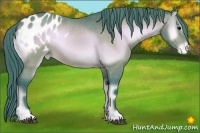 Horse Color:Watercolor Bay Onyx Sabino Appaloosa 