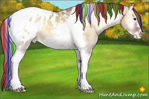 Horse Color:Painted Red Dun Onyx Tobiano Frame Appaloosa 