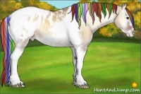 Horse Color:Painted Red Dun Onyx Tobiano Frame Appaloosa 