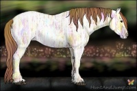 Horse Color:Nacre Red Dun Ice 