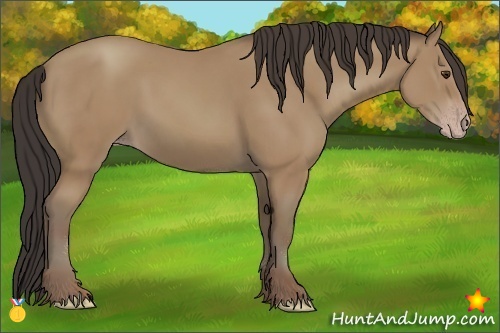 Horse Color:Classic Champagne Sabino 
