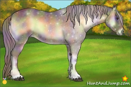 Horse Color:Nacre Chocolate Palomino Onyx