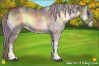 Horse Color:Nacre Chocolate Palomino Onyx 